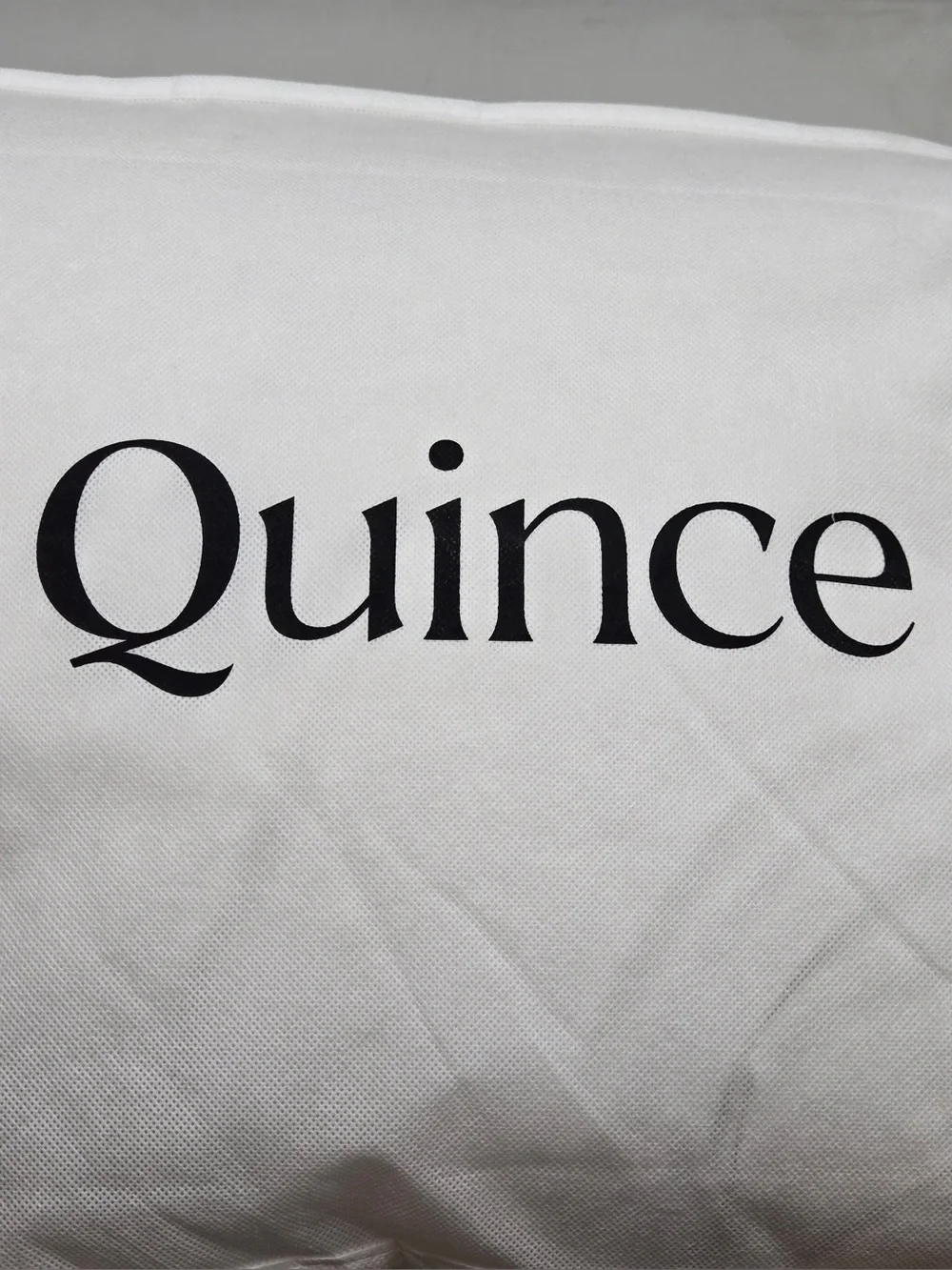 NWOT QUINCE Luxe White Goose Down Pillow Standard 9863